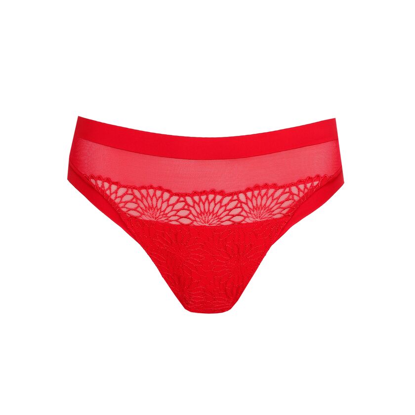 SOPHORA0663181TRRTRR__1